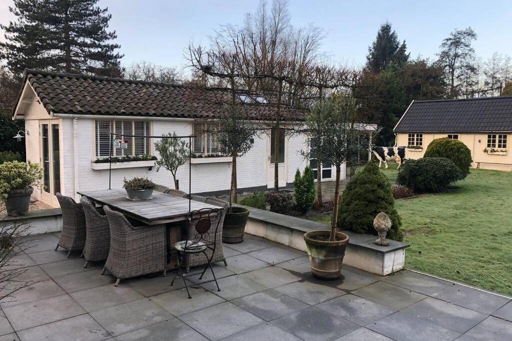 Tiny House In Tuin Van De Statige Villa Mariahof Dordrecht Exteriör bild
